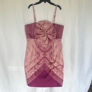 New York & Company Pink Ombre Mini Dress